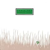 Shamrock Diaries