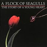 The Story of a Young Heart