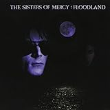 Floodland