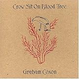 Crow Sit on Blood Tree