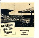 Spot the Pigeon EP