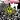 Operation: Mindcrime