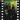 The Yes Album