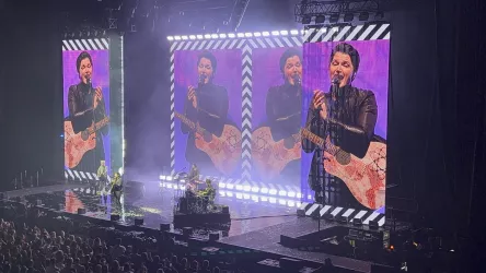 The Script
