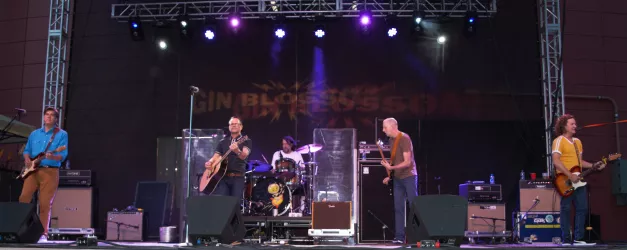 Gin Blossoms