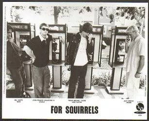 For Squirrels