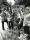Atlanta Rhythm Section