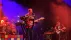 The Wombats