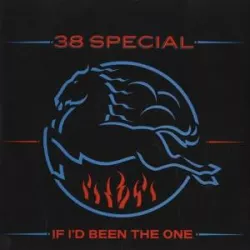 If I'd Been the One