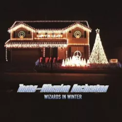 Wizards in Winter