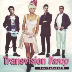 I Want Your Love