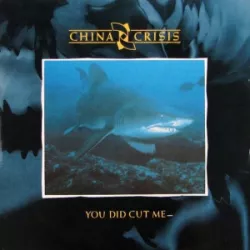 You Did Cut Me