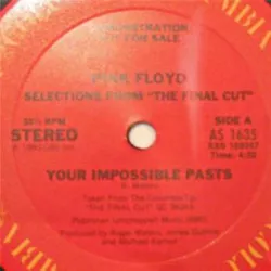 Your Possible Pasts