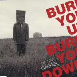 Burn You Up, Burn You Down
