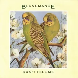 Don't Tell Me / You Can Say It
