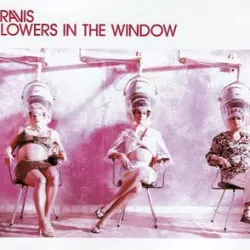 Flowers in the Window