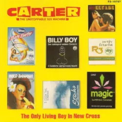 The Only Living Boy in New Cross
