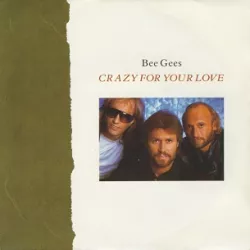 Crazy for Your Love