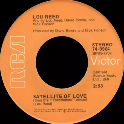 Satellite of Love