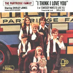 I Think I Love You