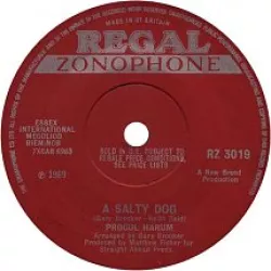 A Salty Dog