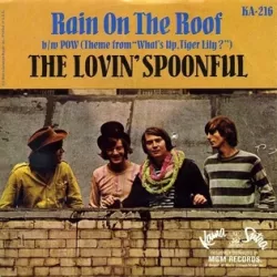 Rain on the Roof