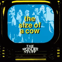 The Size of a Cow