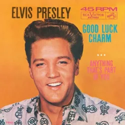 Good Luck Charm