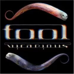 Vicarious