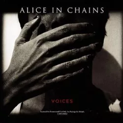 Voices