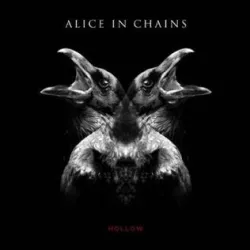 Hollow
