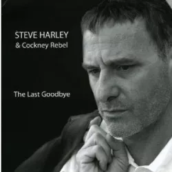The Last Goodbye