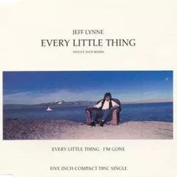 Every Little Thing