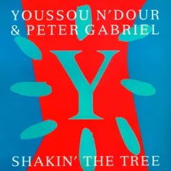 Shakin' the Tree