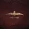 Letters from the Sky