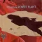 Tall Cool One