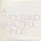 A Thousand Beautiful Things