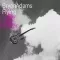 Flying