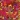 Disraeli Gears