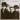 Echo & the Bunnymen