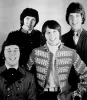 The Tremeloes The Tremeloes