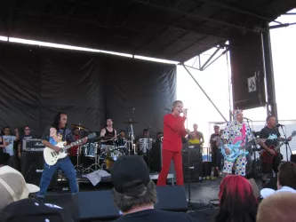 The Dickies