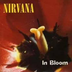 In Bloom
