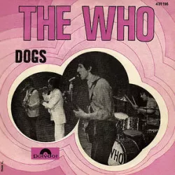 Dogs