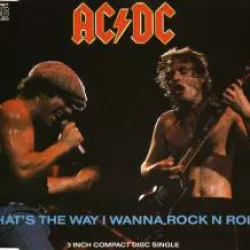 That's the Way I Wanna Rock N Roll