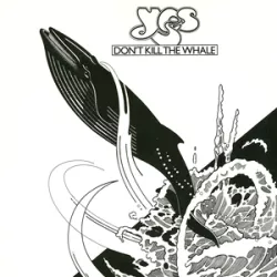 Don't Kill the Whale