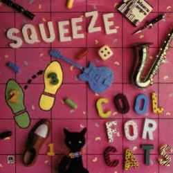 Cool for Cats