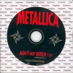 Ain't My Bitch