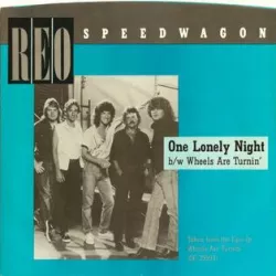One Lonely Night