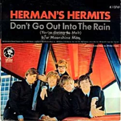 Don't Go Out into the Rain (You're Going to Melt)